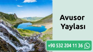 Avusor Yaylası